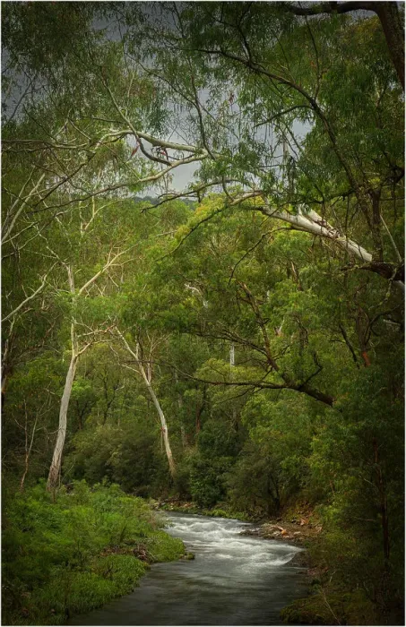 Framed Print : Howqua river, Alpine country of Victoria, Australia