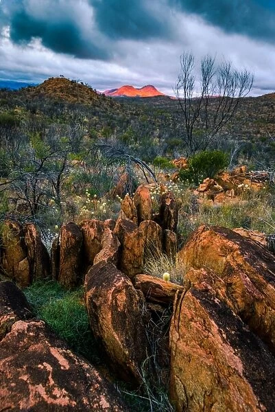 Hugh View at West Macdonnell Ranges
