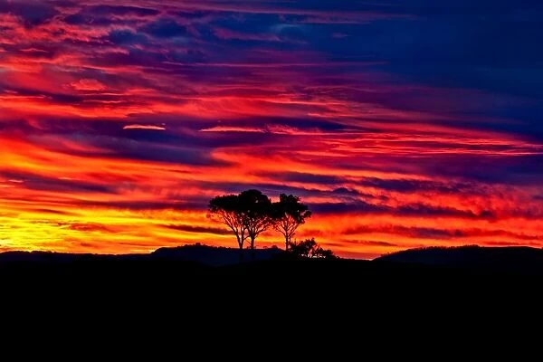 Hunter Valley Sunset