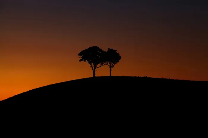 Framed Print : Hunter Valley Sunset