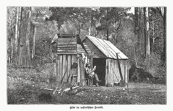 Hut in the Australian primeval forest, wood engraving, published 1899