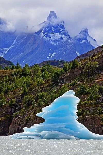 Iceberg on Lake Grey, Patagonia