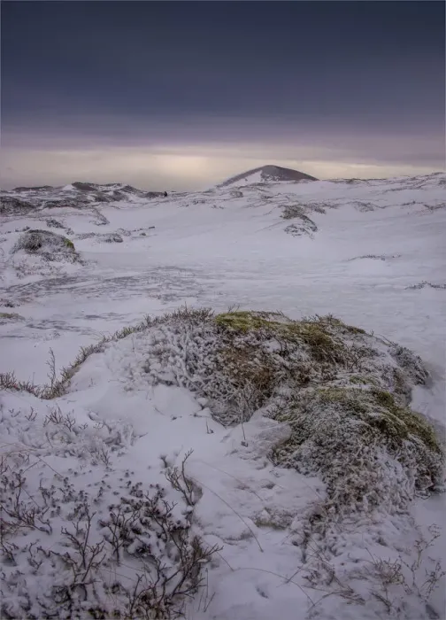 Framed Print : Icelandic winter