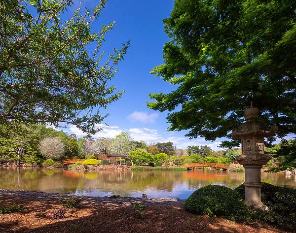 Japanese Garden in Spring, with lake