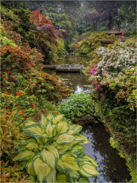 Framed Print : Japanese Gardens, Poole, England
