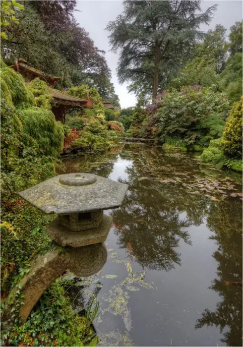 Framed Print : Japanese Gardens, Poole, England