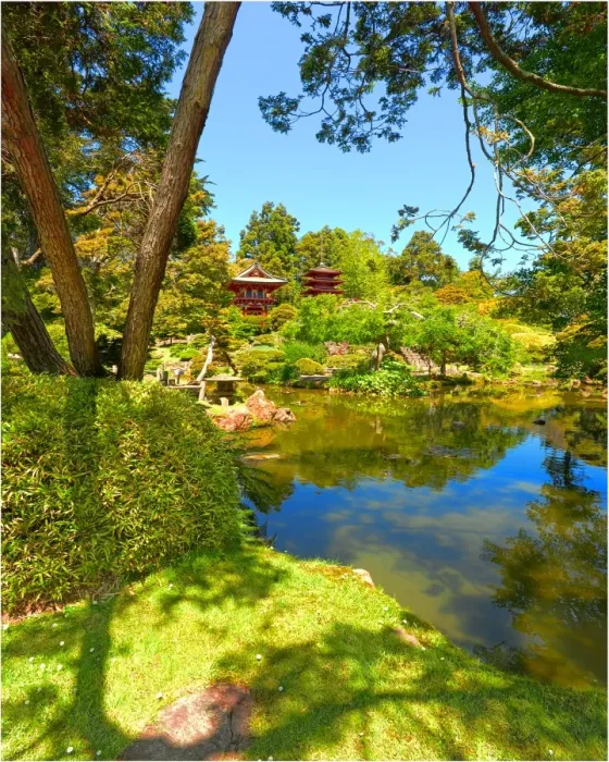 Framed Print : Japanese tea gardens in the Golden State Park, San Francisco, California