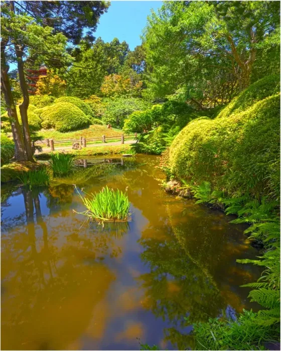 Framed Print : Japanese tea gardens in the Golden State Park, San Francisco, California