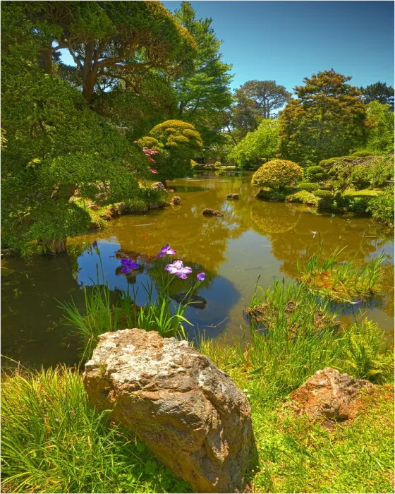 Framed Print : Japanese tea gardens in the Golden State Park, San Francisco, California