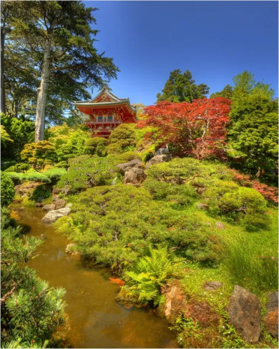 Framed Print : Japanese tea gardens in the Golden State Park, San Francisco, California