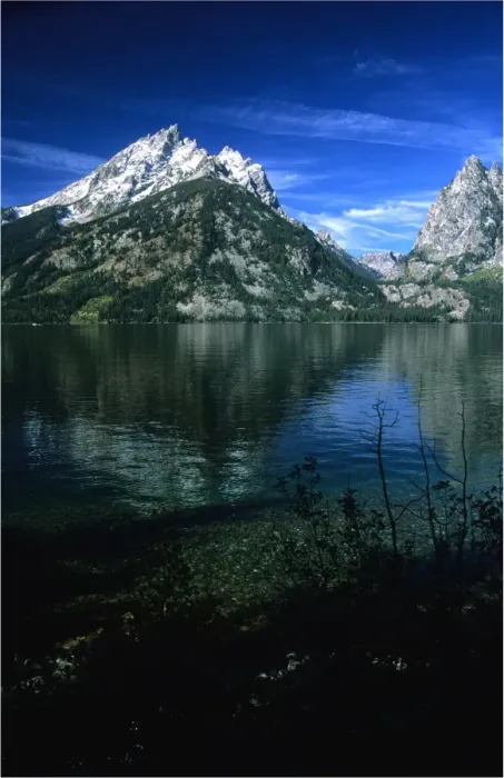 Framed Print : Jenny lake view, Grand Teton national park, Wyoming Framed Print : Jenny lake view, Grand Teton national park, Wyoming