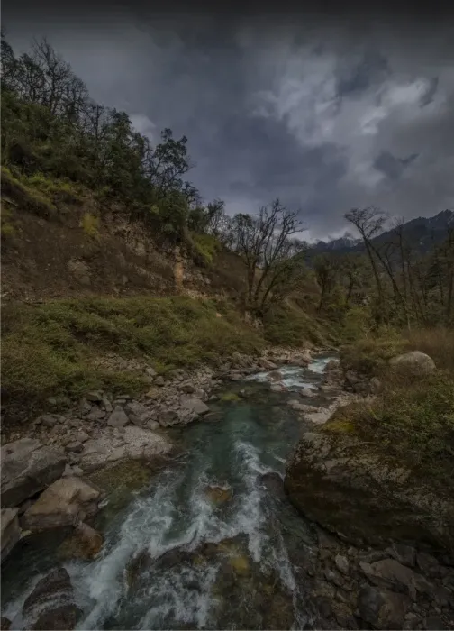 Framed Print : Jigme Dorji National Park, Northern Bhutan
