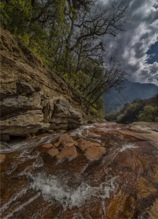 Framed Print : Jigme Dorji National Park, Northern Bhutan