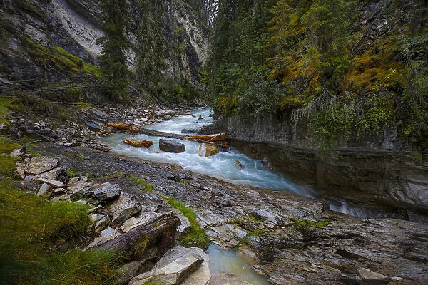 Johnston Creek In Banff National Park, Alberta, Canada