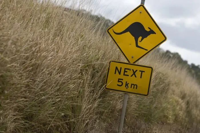 Framed Print : Kangaroo sign near Whitsunday Islands, Australia Framed Print : Kangaroo sign near Whitsunday Islands, Australia