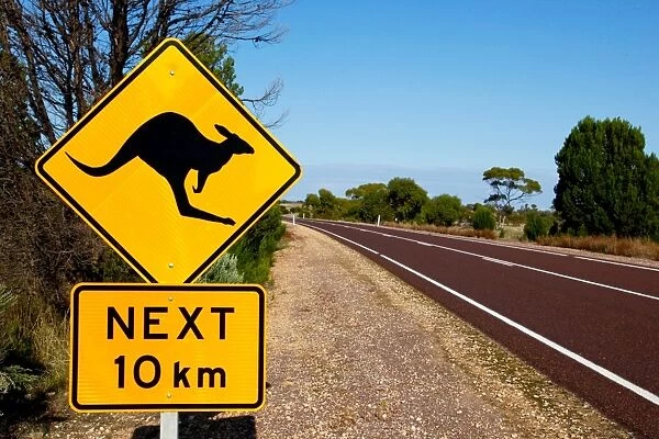 Kangaroo warning sign, Australia