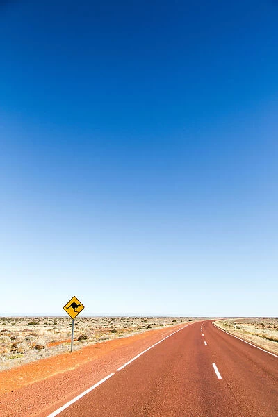 Kangaroo warning sign. Stuart Highway. Australia