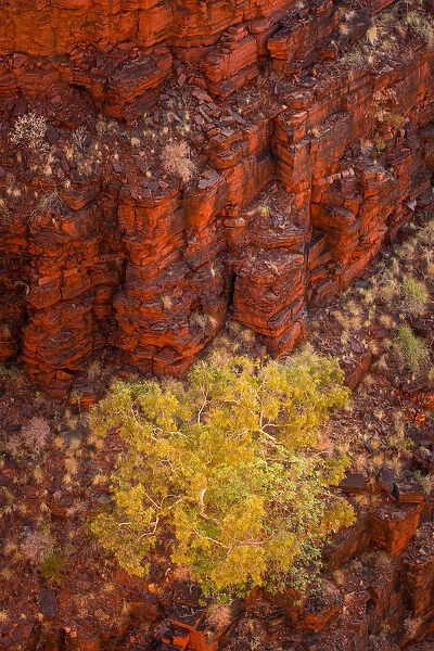 Karijini National Park, Pilbara, Western Australia, Australia