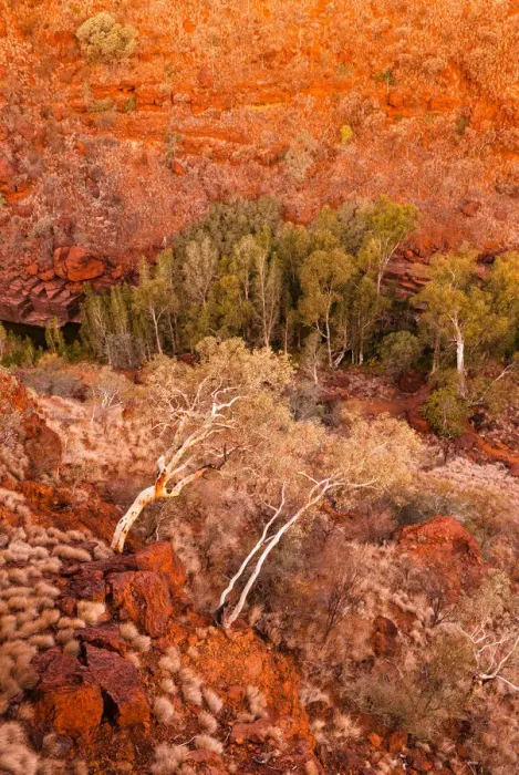 Framed Print : Karijini National Park, Western Australia, Australia