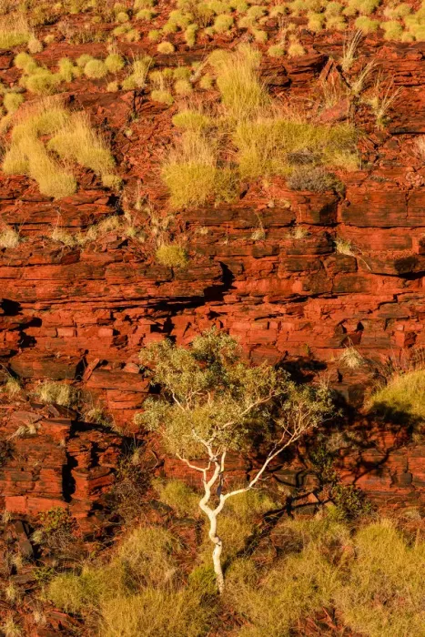 Framed Print : Karijini National Park, Western Australia, Australia Framed Print : Karijini National Park, Western Australia, Australia