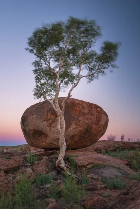 Framed Print : Karlu Karlu or Devils marbles Conservation Reserve, Northern Territory, Australia Framed Print : Karlu Karlu or Devils marbles Conservation Reserve, Northern Territory, Australia