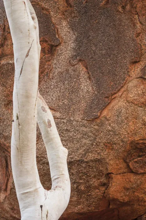 Framed Print : Karlu Karlu or Devils Marbles Conservation Reserve, Northern Territory, Australia