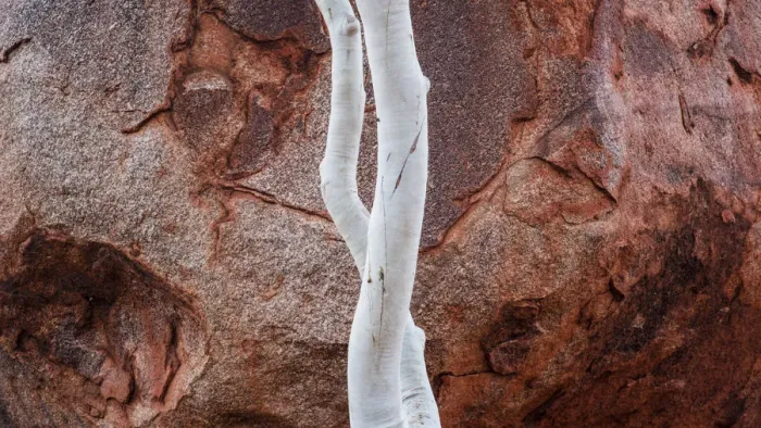 Framed Print : Karlu Karlu or Devils Marbles Conservation Reserve, Northern Territory, Australia Framed Print : Karlu Karlu or Devils Marbles Conservation Reserve, Northern Territory, Australia