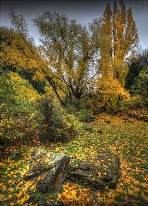 Framed Print : Kawarau River Autumn Framed Print : Kawarau River Autumn