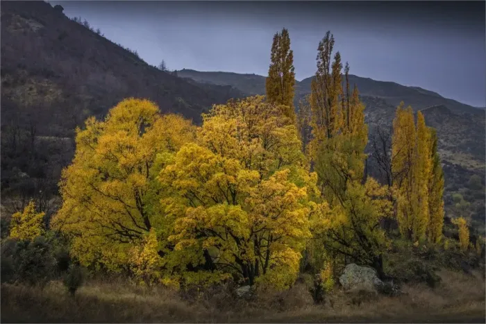 Framed Print : Kawarau river South Island of New Zealand Framed Print : Kawarau river South Island of New Zealand