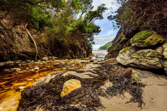 Framed Print : Ketchem Bay at South West Cape trail, Southwest Tasmania
