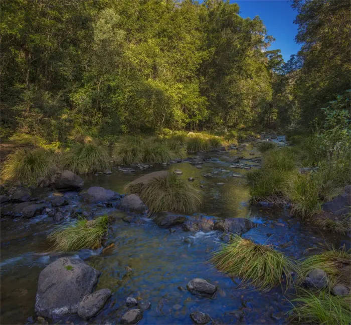 Framed Print : Killarny Glen rainforest, Hinterland of southern Queensland