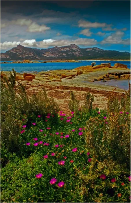 Framed Print : Killiecrankie bay, Flinders Island, Bass Strait, Tasmania, Australia Framed Print : Killiecrankie bay, Flinders Island, Bass Strait, Tasmania, Australia