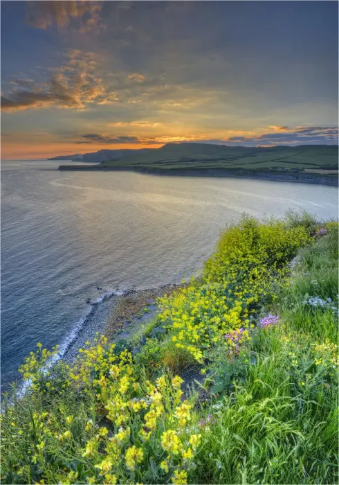 Framed Print : Kimmeridge bay, Jurassic coastline of Dorset, south west England