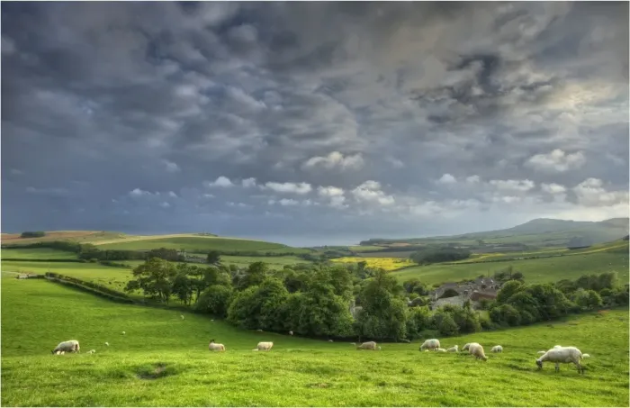 Framed Print : Kimmeridge, Dorset, Jurassic coastline, England, United Kingdom Framed Print : Kimmeridge, Dorset, Jurassic coastline, England, United Kingdom