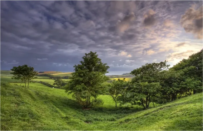 Framed Print : Kimmeridge, Dorset, Jurassic coastline, England, United Kingdom Framed Print : Kimmeridge, Dorset, Jurassic coastline, England, United Kingdom