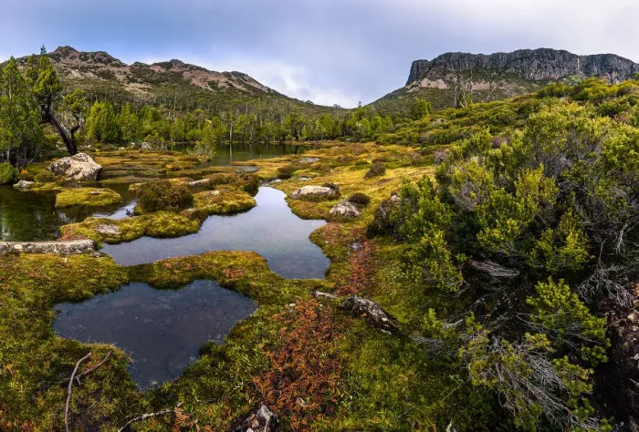 Framed Print : King Davis Peak and Mount Ophel in Walls of Jerusalem National Park, Tasmania in Walls of Jerusalem National Park, Tasmania
