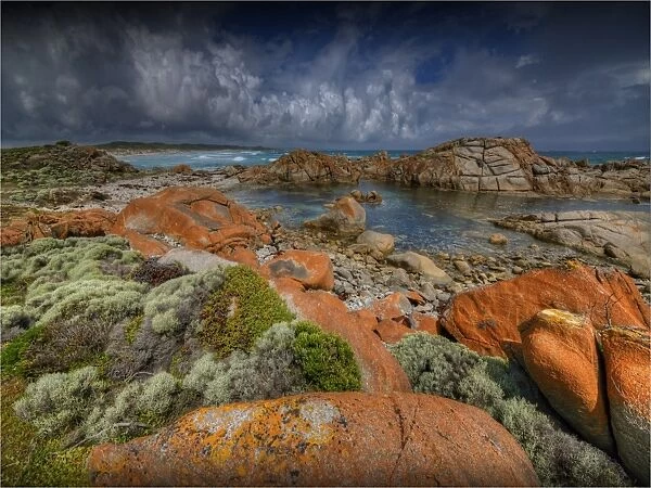 King Island, Bass Strait, Tasmania, Australia