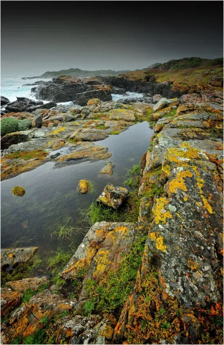 Framed Print : King Island, Bass Strait, Tasmania, Australia