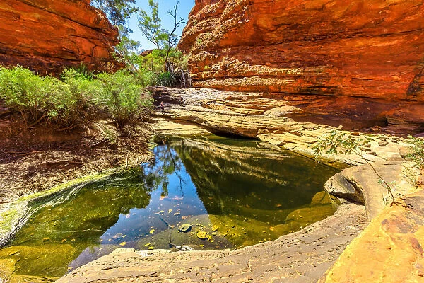 Kings Canyon waterhole Australia