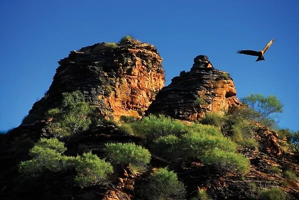 Kiter Hawk flying over Kimberleys