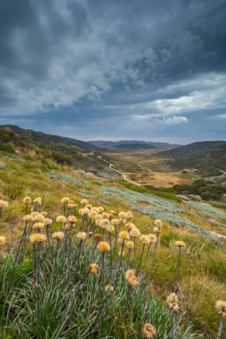 Framed Print : kosciuszko national park Framed Print : kosciuszko national park
