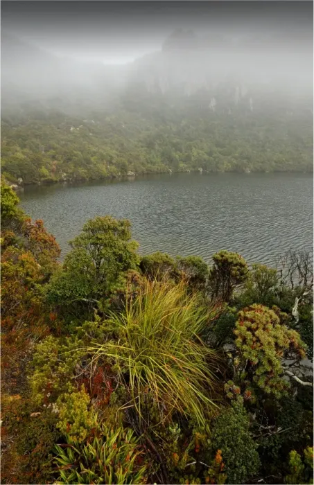Framed Print : Ladies Tarn in mist, Hartz mountains national park, southern Tasmania Framed Print : Ladies Tarn in mist, Hartz mountains national park, southern Tasmania
