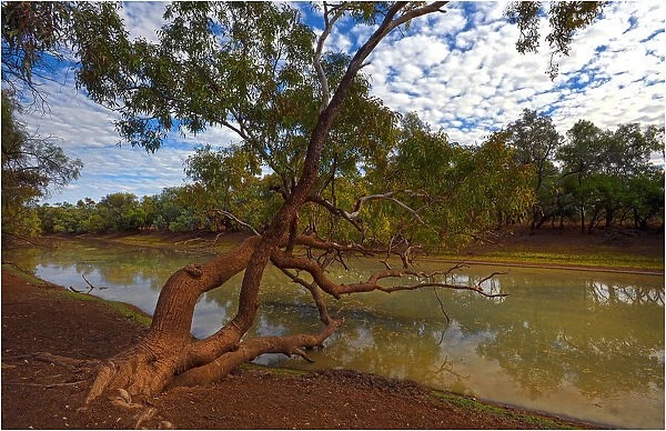 Lagoon at Comeroo, outback New South Wales, Australia