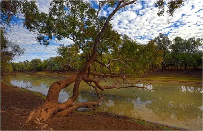 Framed Print : Lagoon at Comeroo, outback New South Wales, Australia Framed Print : Lagoon at Comeroo, outback New South Wales, Australia