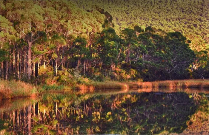Framed Print : Lagoon reflections, Adventure bay, South Bruny Island, Tasmania Framed Print : Lagoon reflections, Adventure bay, South Bruny Island, Tasmania