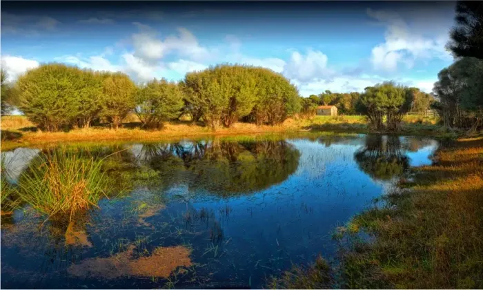 Framed Print : A lagoon with reflections, King Island, Bass Strait, Tasmania Framed Print : A lagoon with reflections, King Island, Bass Strait, Tasmania