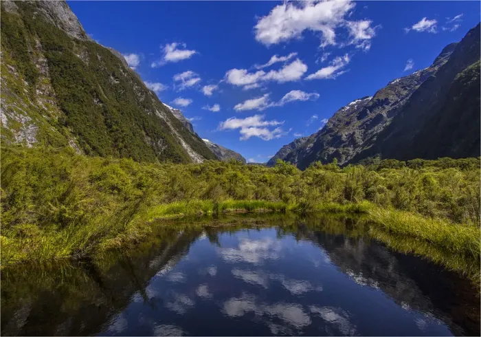 Framed Print : Lagoon reflections, Milford sound, South Island of New Zealand Framed Print : Lagoon reflections, Milford sound, South Island of New Zealand