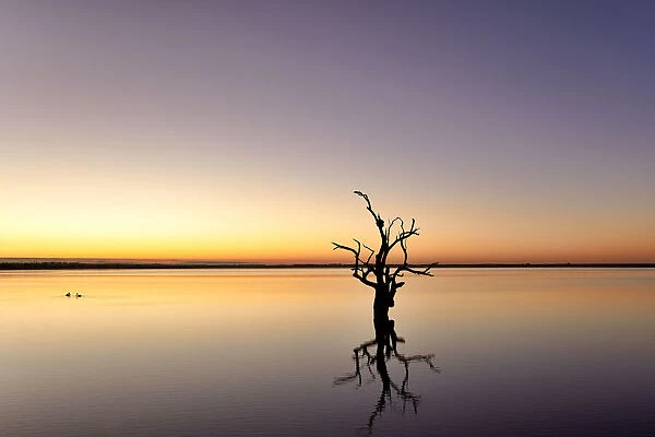Lake Bonney, South Australia