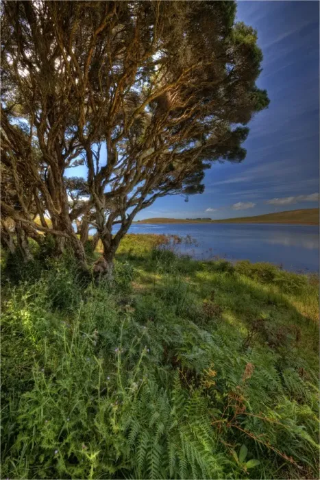 Framed Print : Lake Flanagan, King Island, Bass Strait, Tasmania