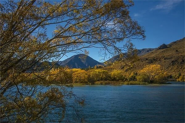 Lake Hayes and autumn colours, south island, New Zealand